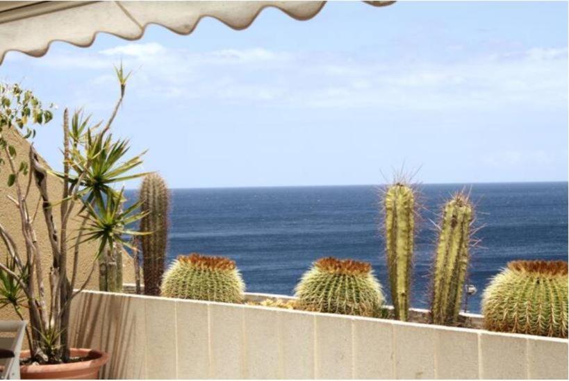 Apartamento Frente Al Mar Radazul Kültér fotó